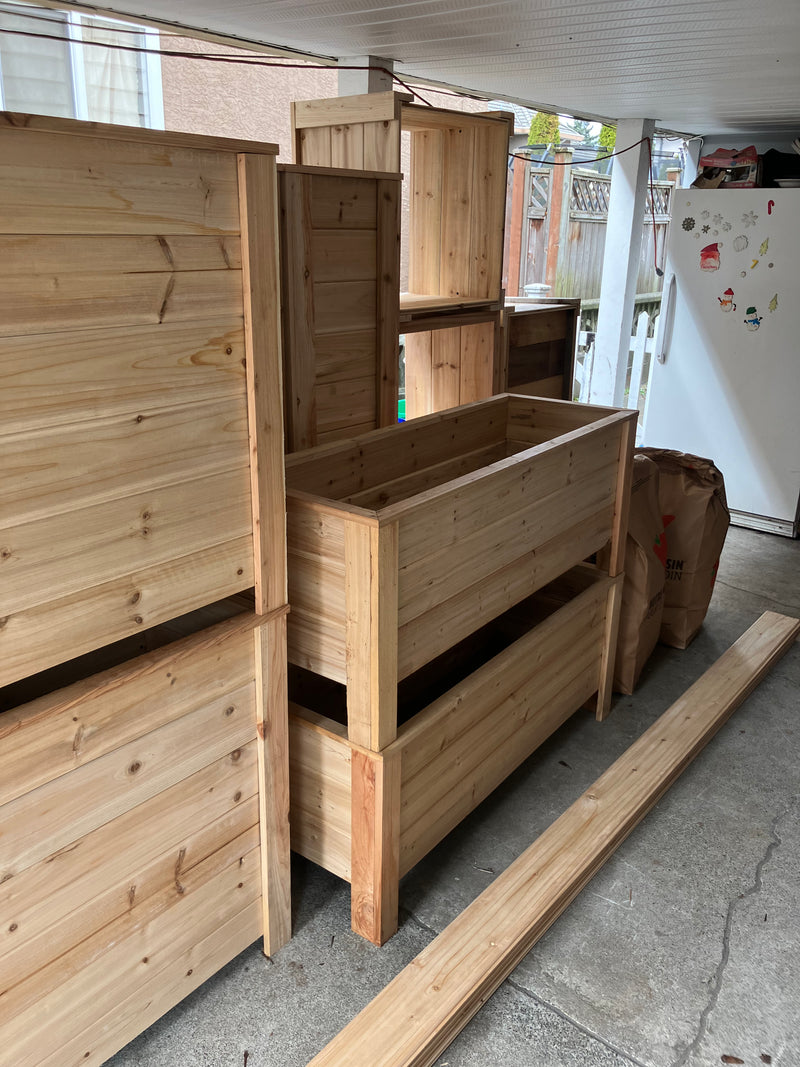 Japanese Cedar [1 Inch] [T&G]